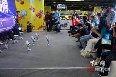 機(jī)器人梯隊(duì)大牌云集 長(zhǎng)沙首屆魅力科技展開(kāi)幕