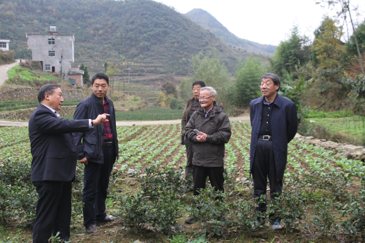 安康富硒茶引爆中國西部最牛茶專業(yè)展會(圖10)