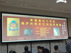 青海省紅十字會保護民族文化項目成果展舉行